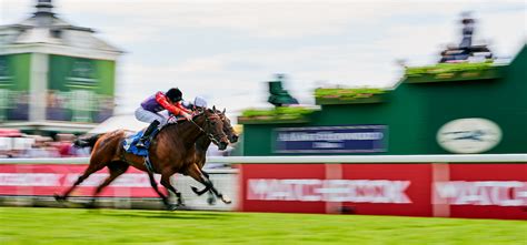 The Practical Guide To Profit From Laying In Horse Racing.